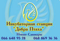 ИС "Добра Птаха"